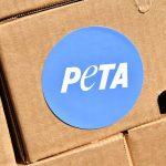 Digital Ascension CEO: Borrow Against XRP Instead of Selling for Lasting Wealth