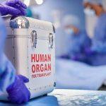 FBI scheduling interviews with 6 lawmakers who encouraged military members to refuse ‘illegal orders’